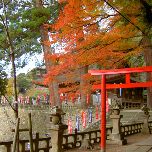 清水寺の紅葉