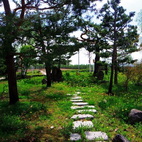 風景