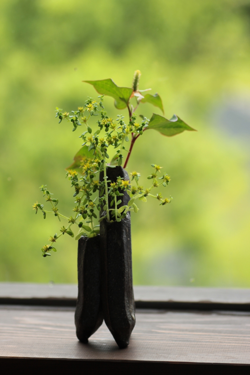 季節の花