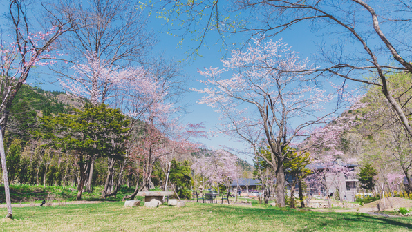 【庭園】道内は5月上旬〜見頃を迎えます