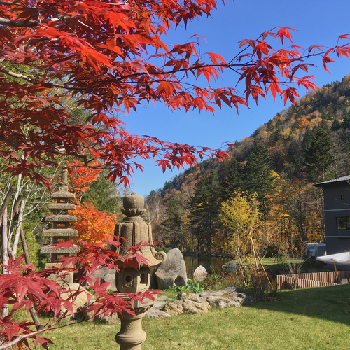 【庭園・秋】美しく色づく秋の木々