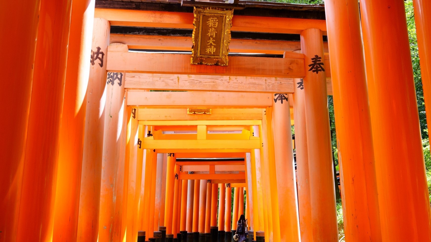 伏見稲荷大社商売繁昌のご利益があるお稲荷さん。朱塗りの鳥居が連なる千本鳥居は圧巻の光景。