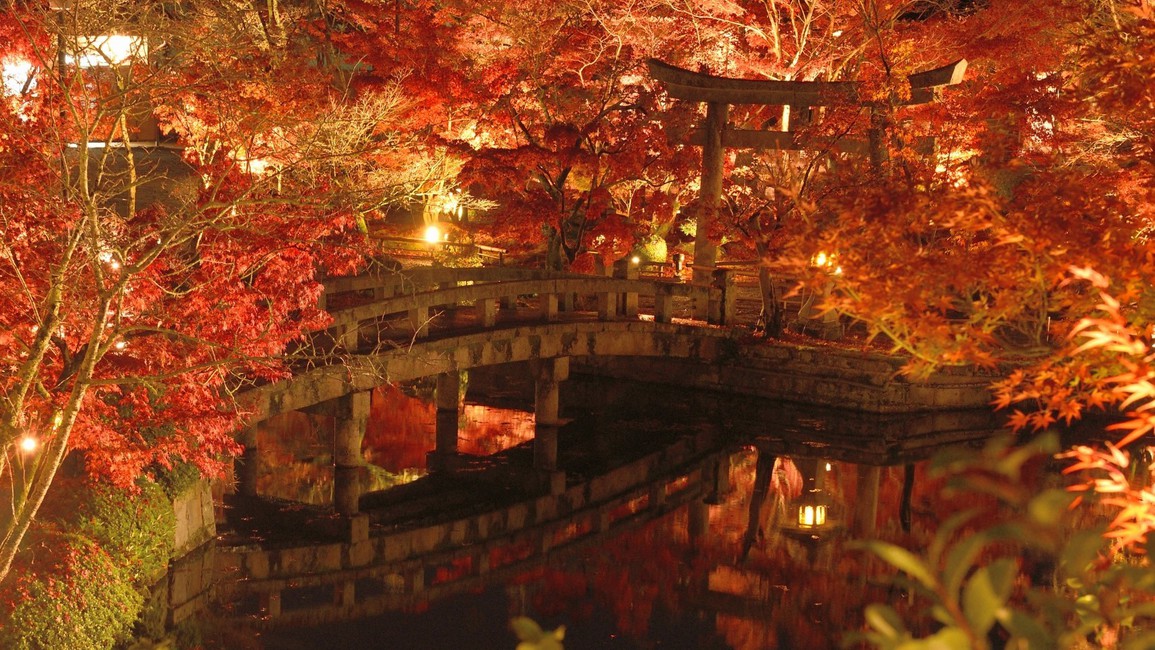 永観堂古くからもみじの永観堂として名高い。境内の木々が燃えるように赤く染まる様は圧巻。