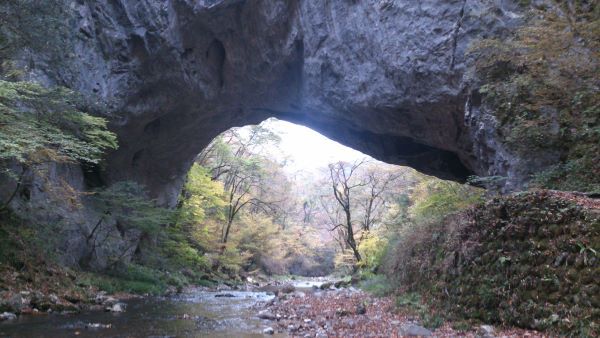 雄橋