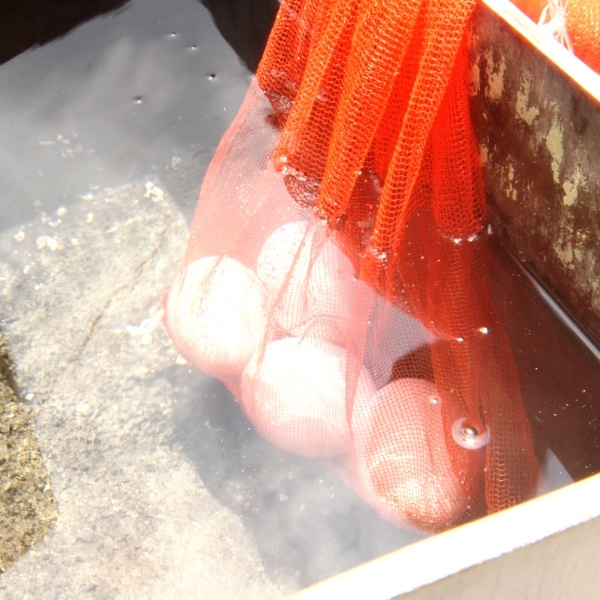 This photo about Oyado Terayu shared on HyHotel.com