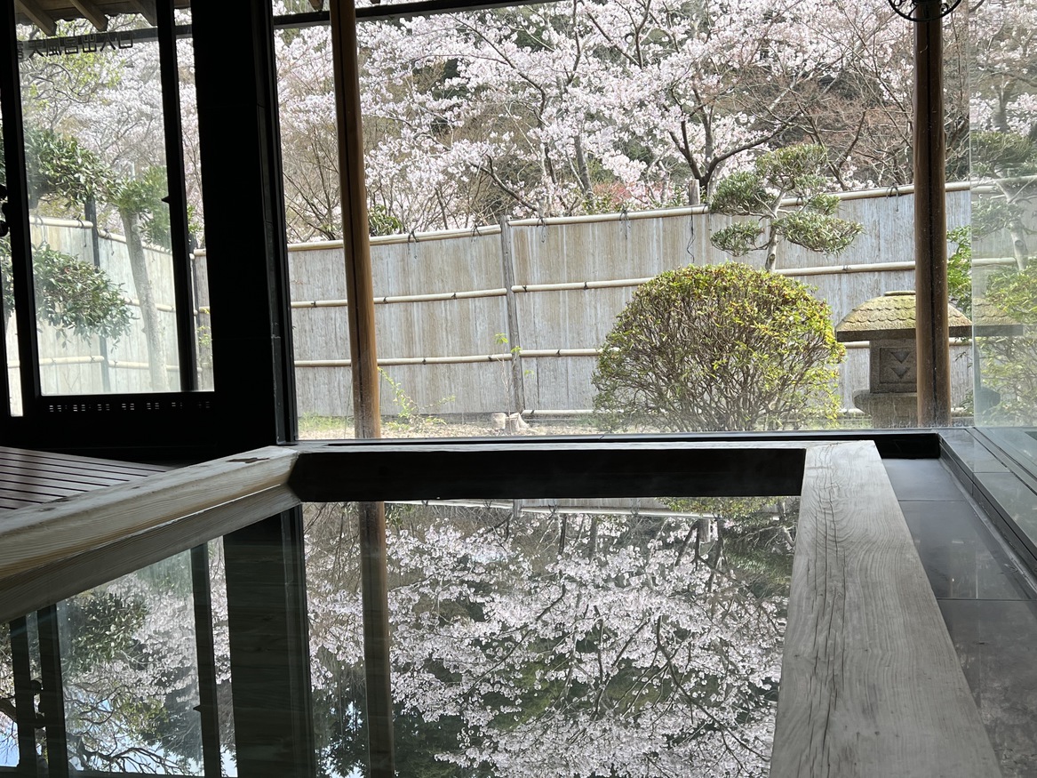 栢ノ木風呂と桜