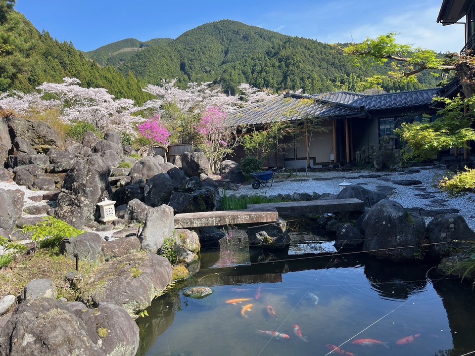 中庭の眺め（春）