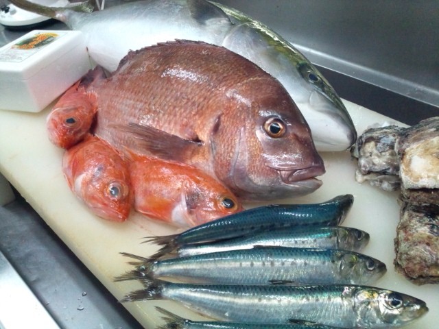 駿河湾の魚介類