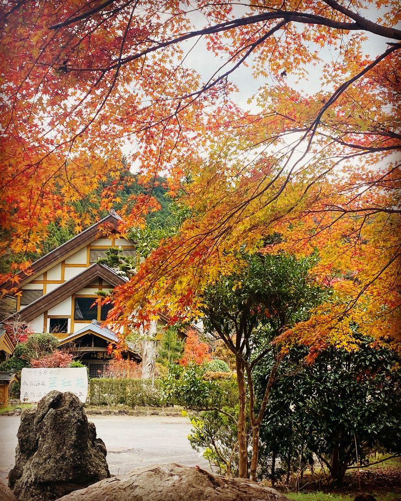 稲瀬川の小道と翠紅苑さくら