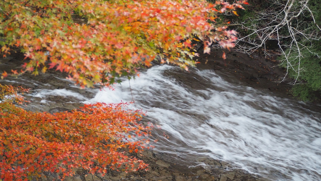 栗又の滝紅葉