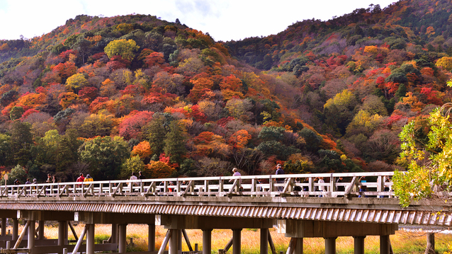 嵐山渡月橋秋