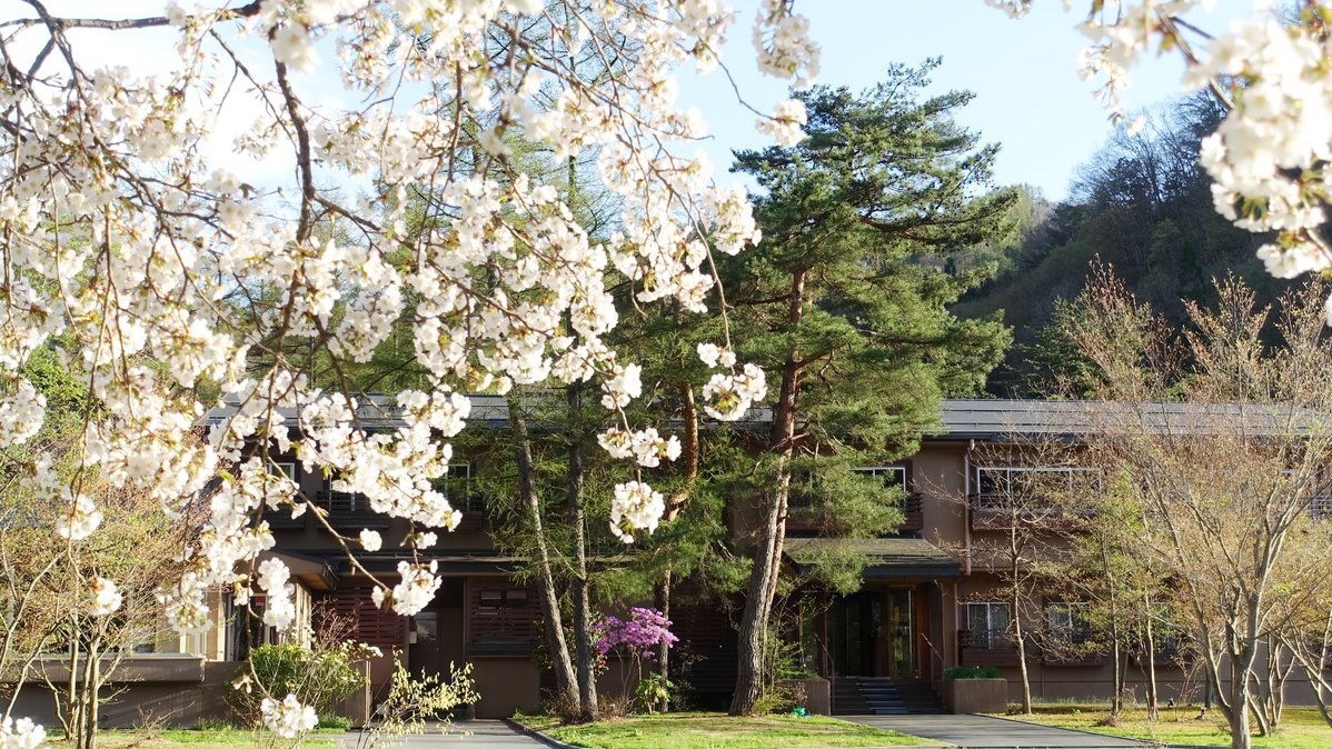 桜の季節の宿へのアプローチ