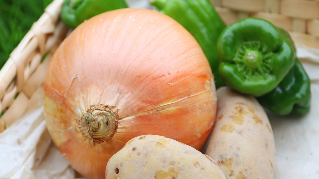 ふれあい農園で獲れた新鮮な野菜