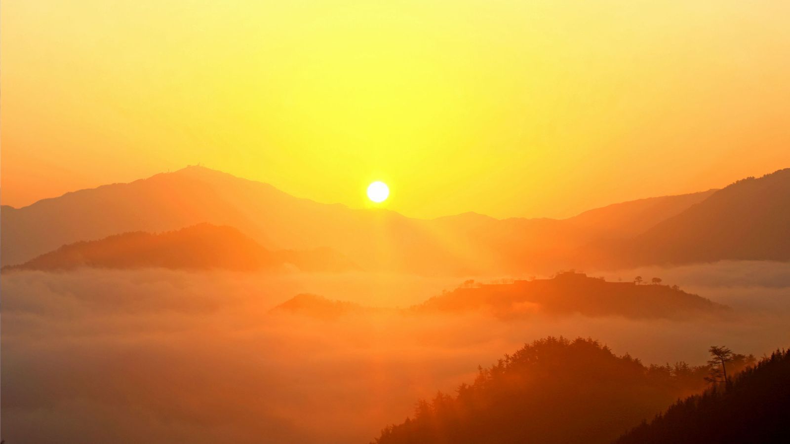 夕日に照らされる雲海は幻想的です