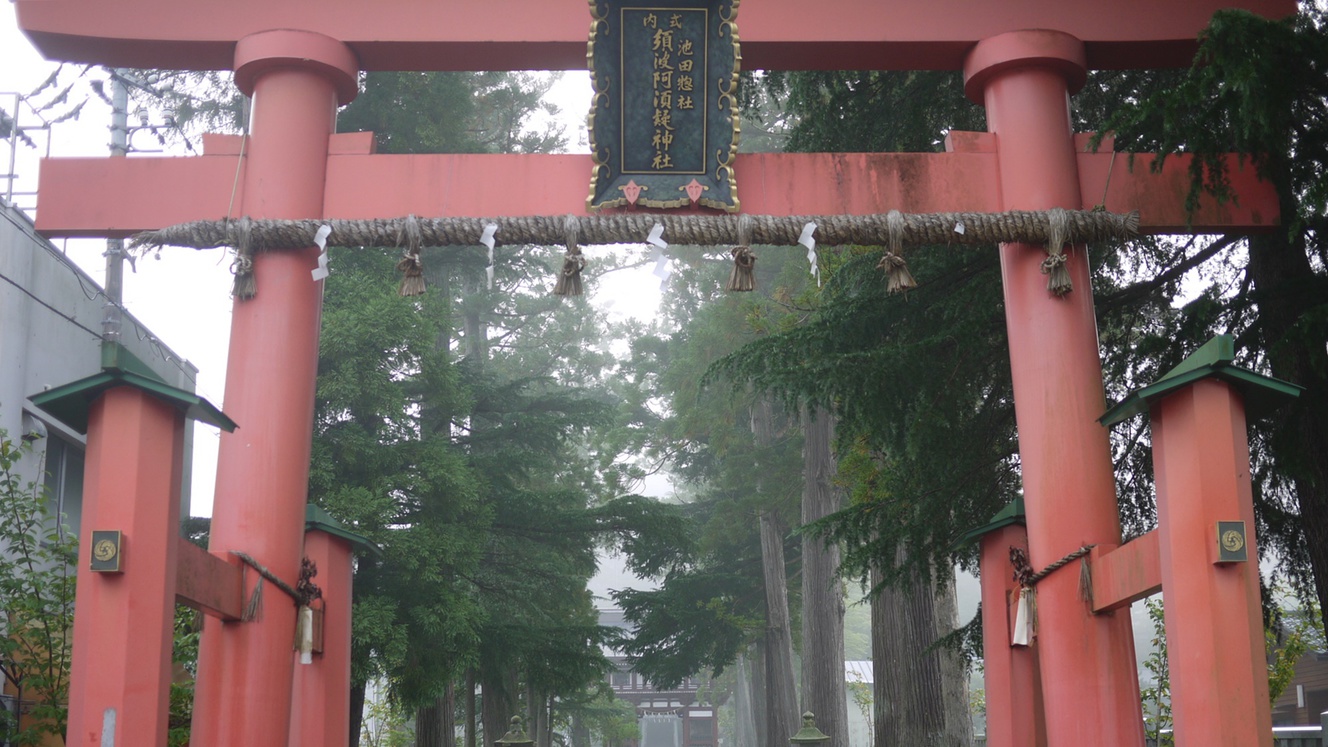 *パワースポット♪須波阿須疑神社（稲荷の大杉）…;徒歩5分