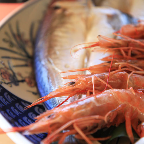 Sodayama Onsen Wa Yawaragi Image 4, Susaki, Japan