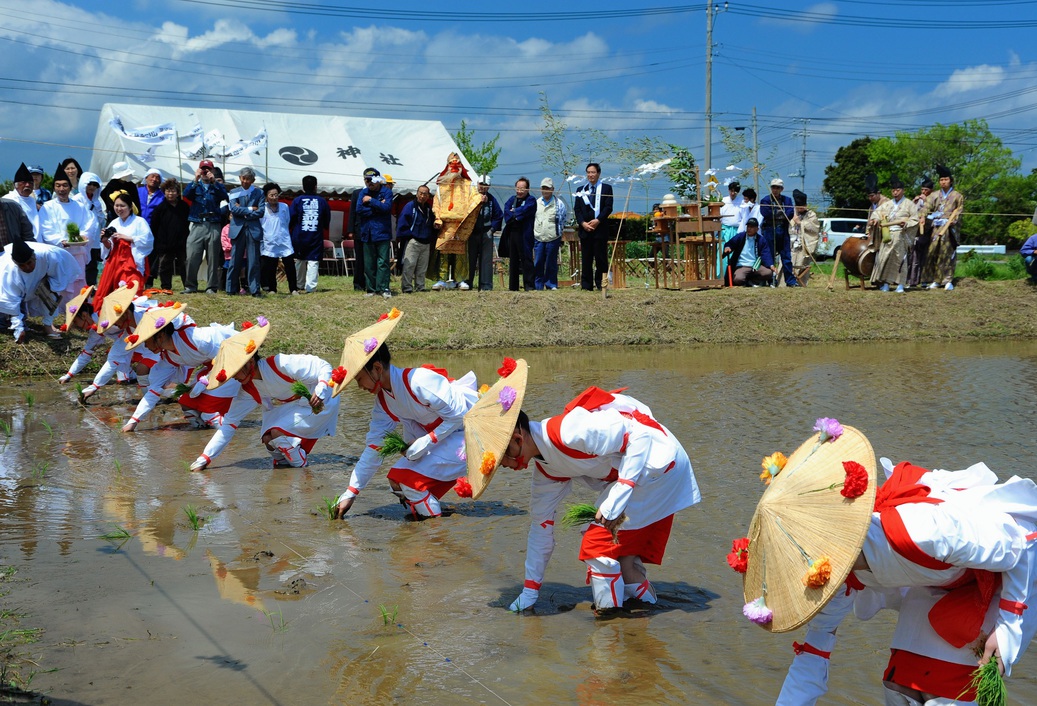御田植祭毎年4月29日に、早乙女による田舞や手植えが行われます。