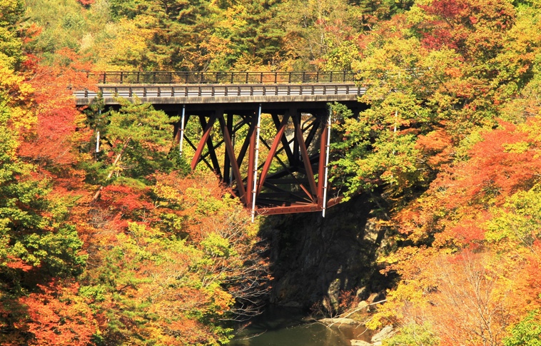 とっても綺麗な紅葉です！ぜひ、開田高原へ見に来て下さい♪