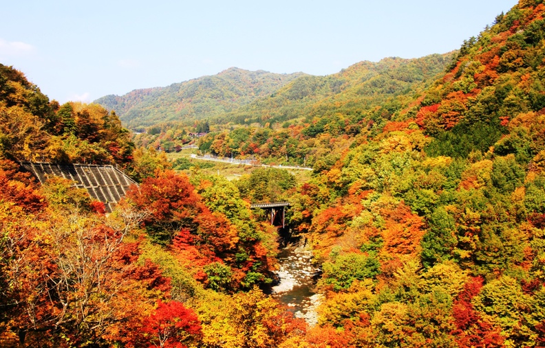 とっても綺麗な紅葉です！ぜひ、開田高原へ見に来て下さい♪