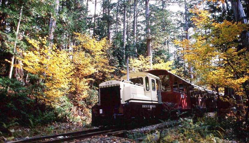 【赤沢森林鉄道】赤沢自然休養林の開園期間中に運行しています。