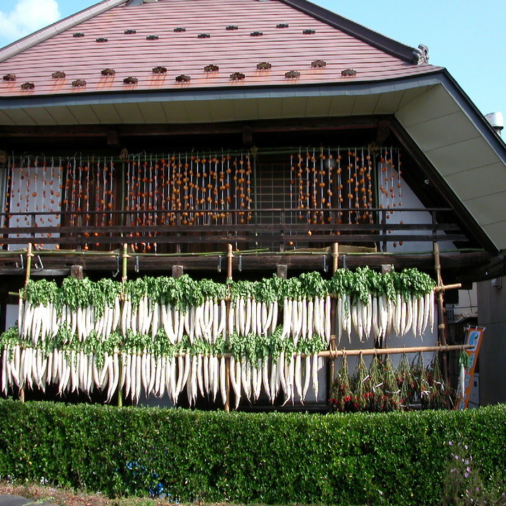 Sarugakyo Onsen Kurayashiki Nonohanabatake