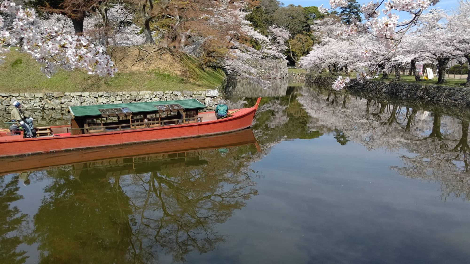 【春の景観】桜を眺める屋形船