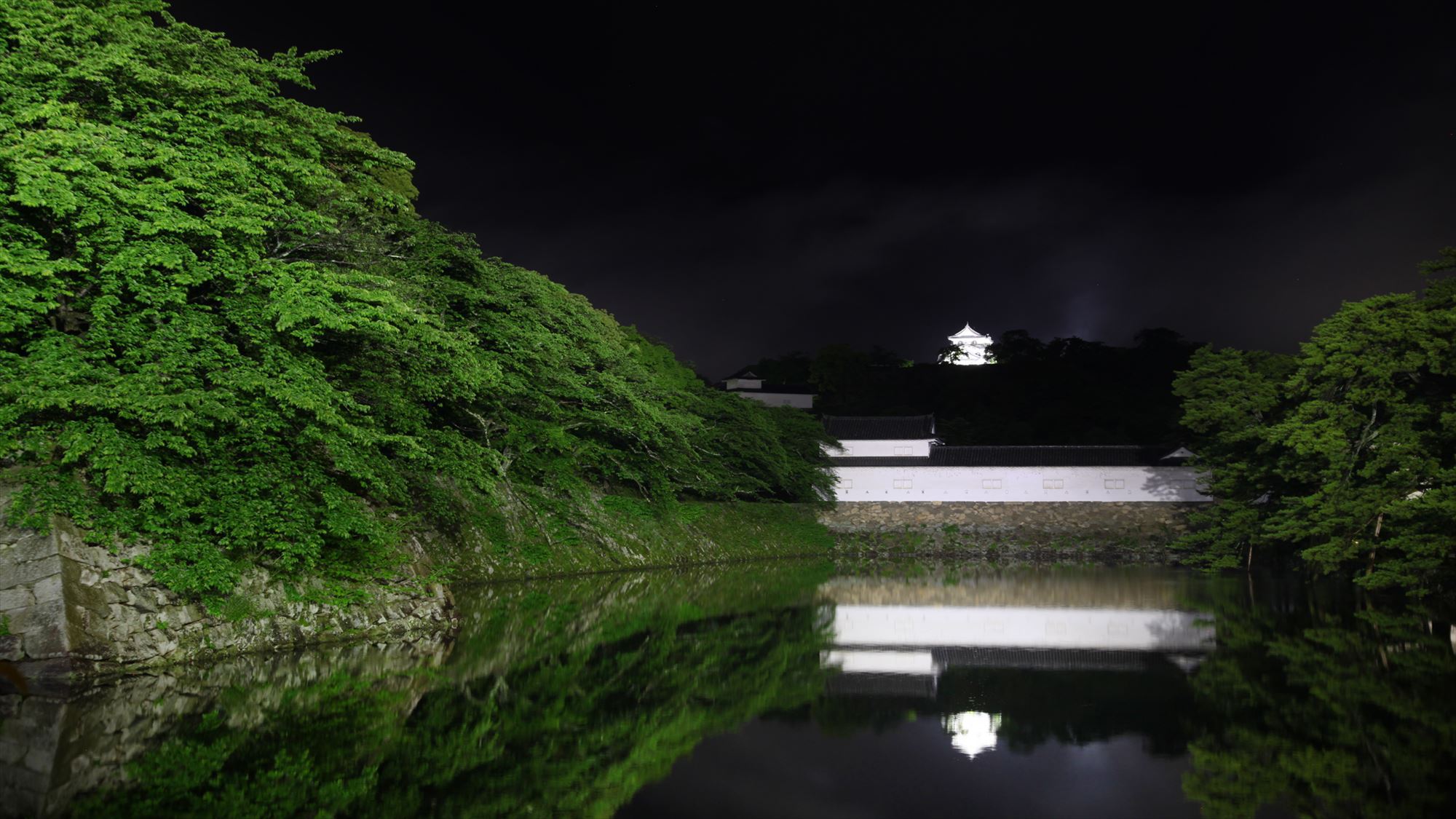 【彦根城】新緑に満ちた夜の国宝彦根城。