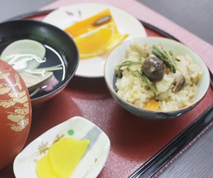 おすすめプラン