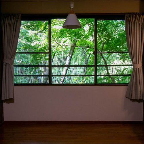 緑の季節、お部屋の窓からの景色に癒されて