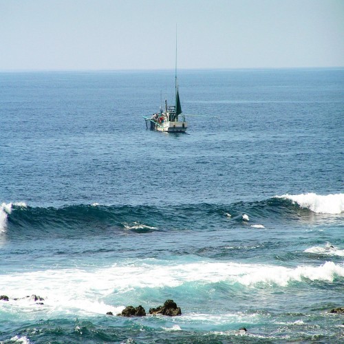 豊饒の海