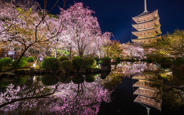 東寺