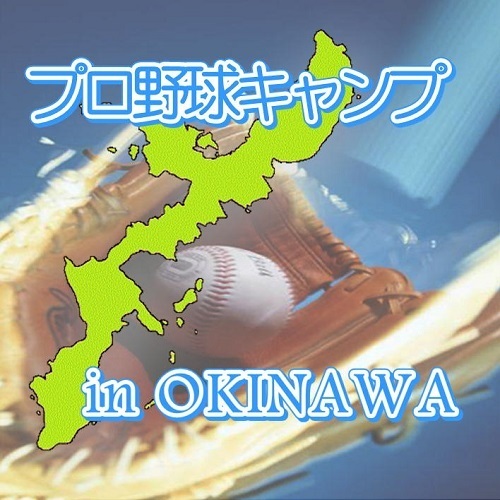 プロ野球キャンプ応援プラン！