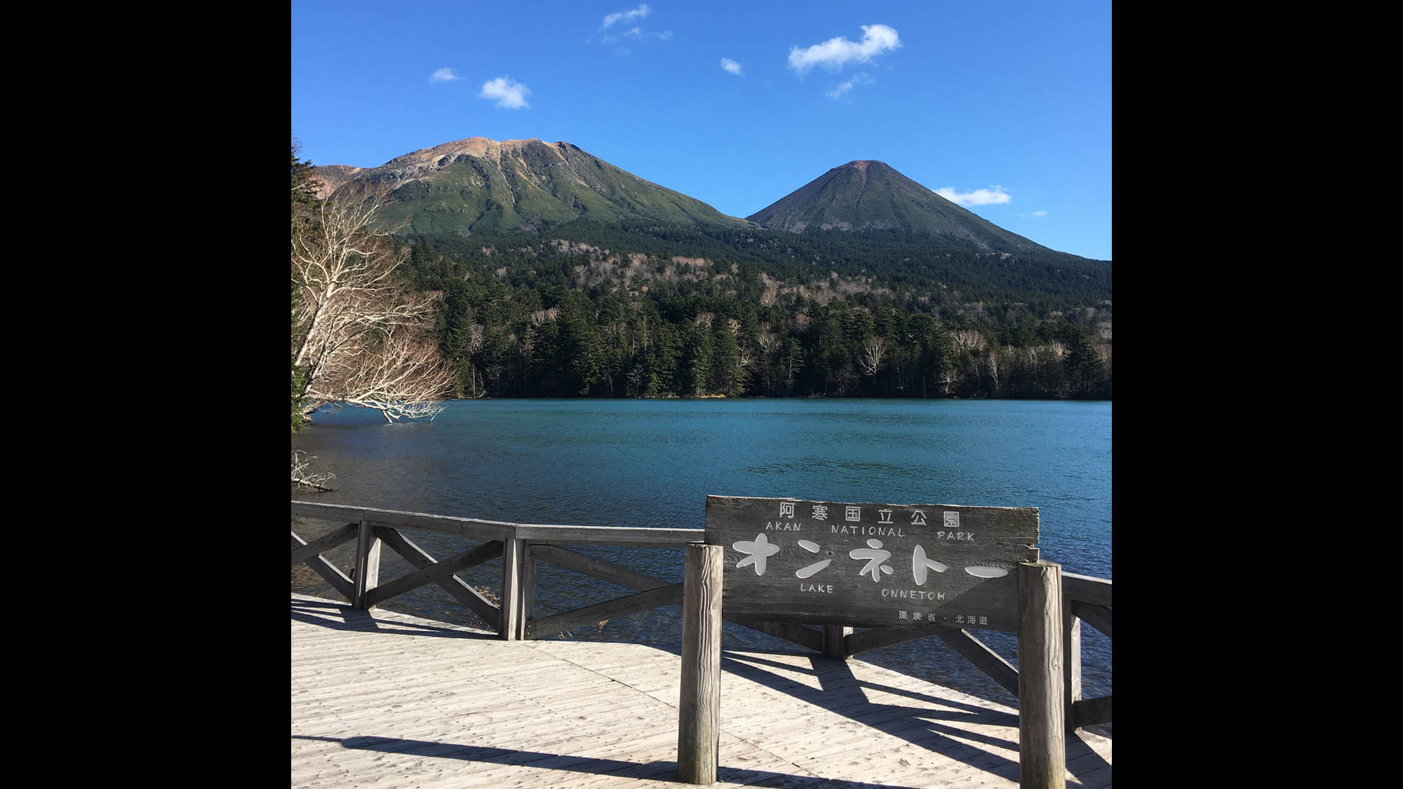 【周辺】早朝のハイキングはおすすめです。清々しくて気持ちが良いです。