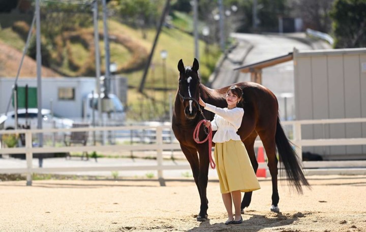 乗馬体験馬と触れ合えるふれあい広場