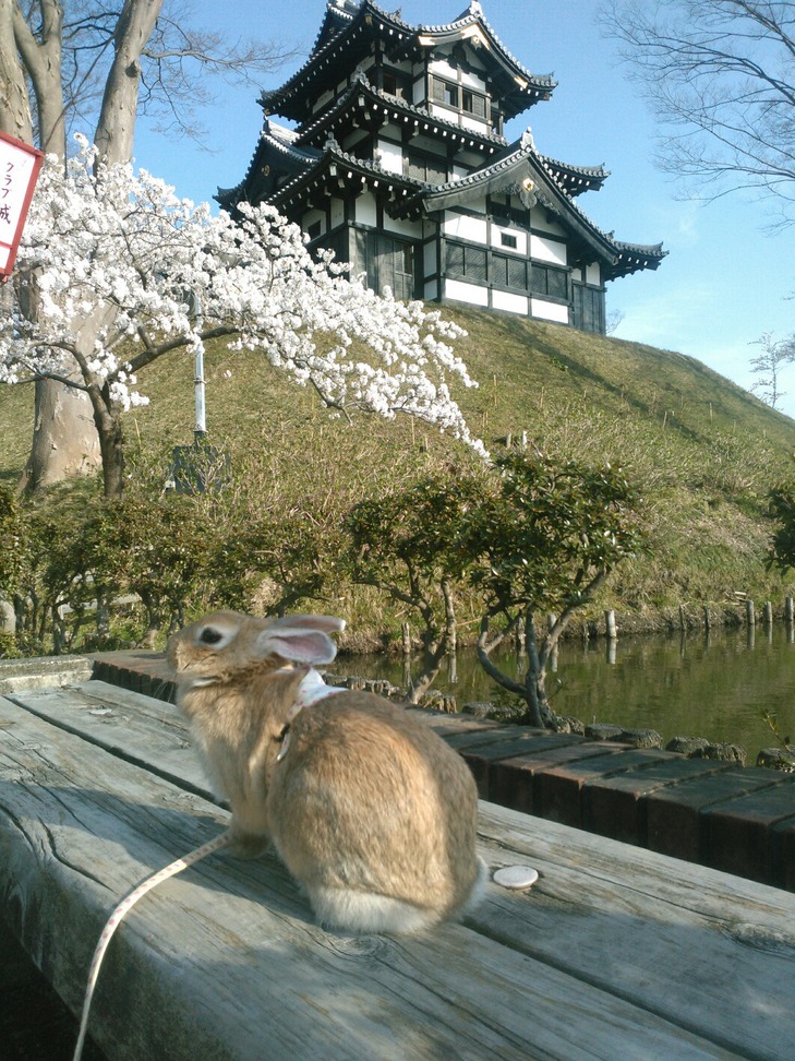 高田公園