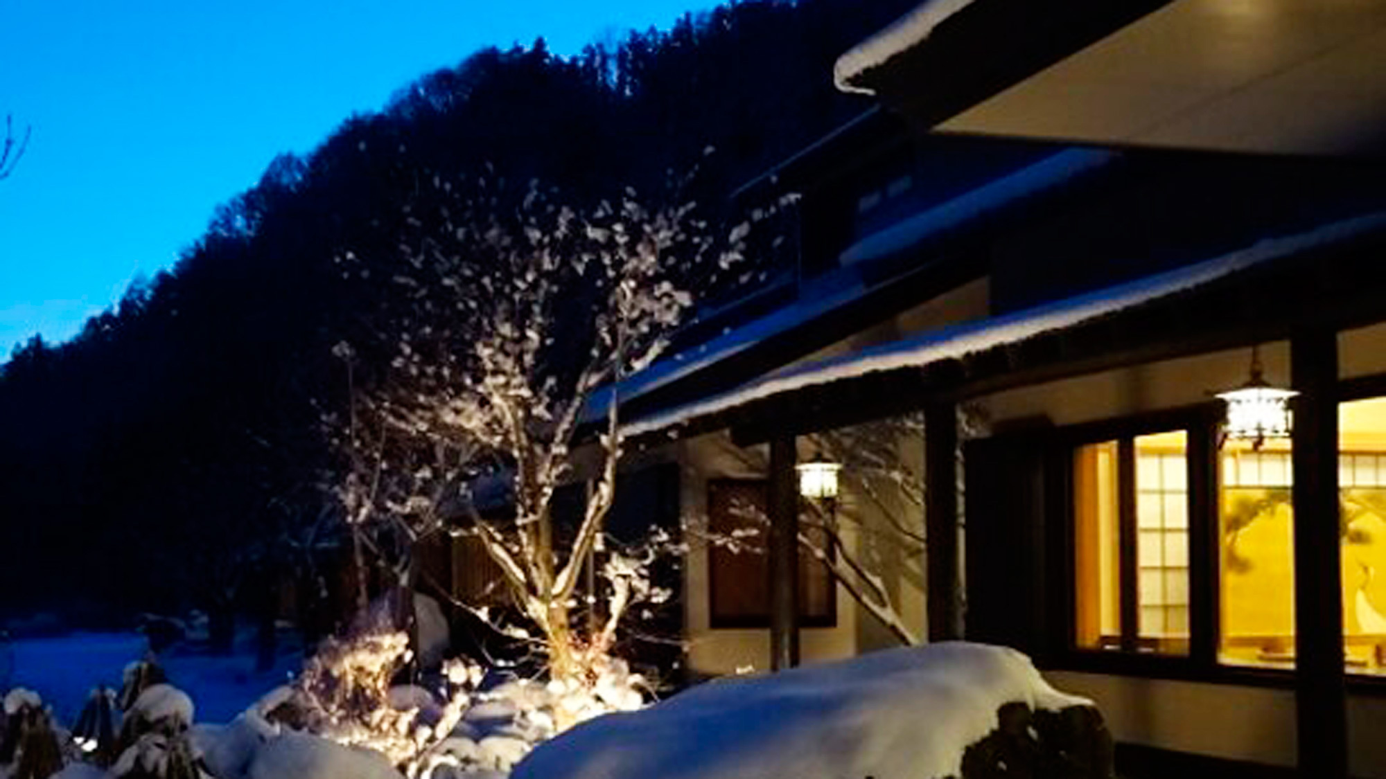 *外観[冬]／真っ白な雪景色が美しい静かな冬