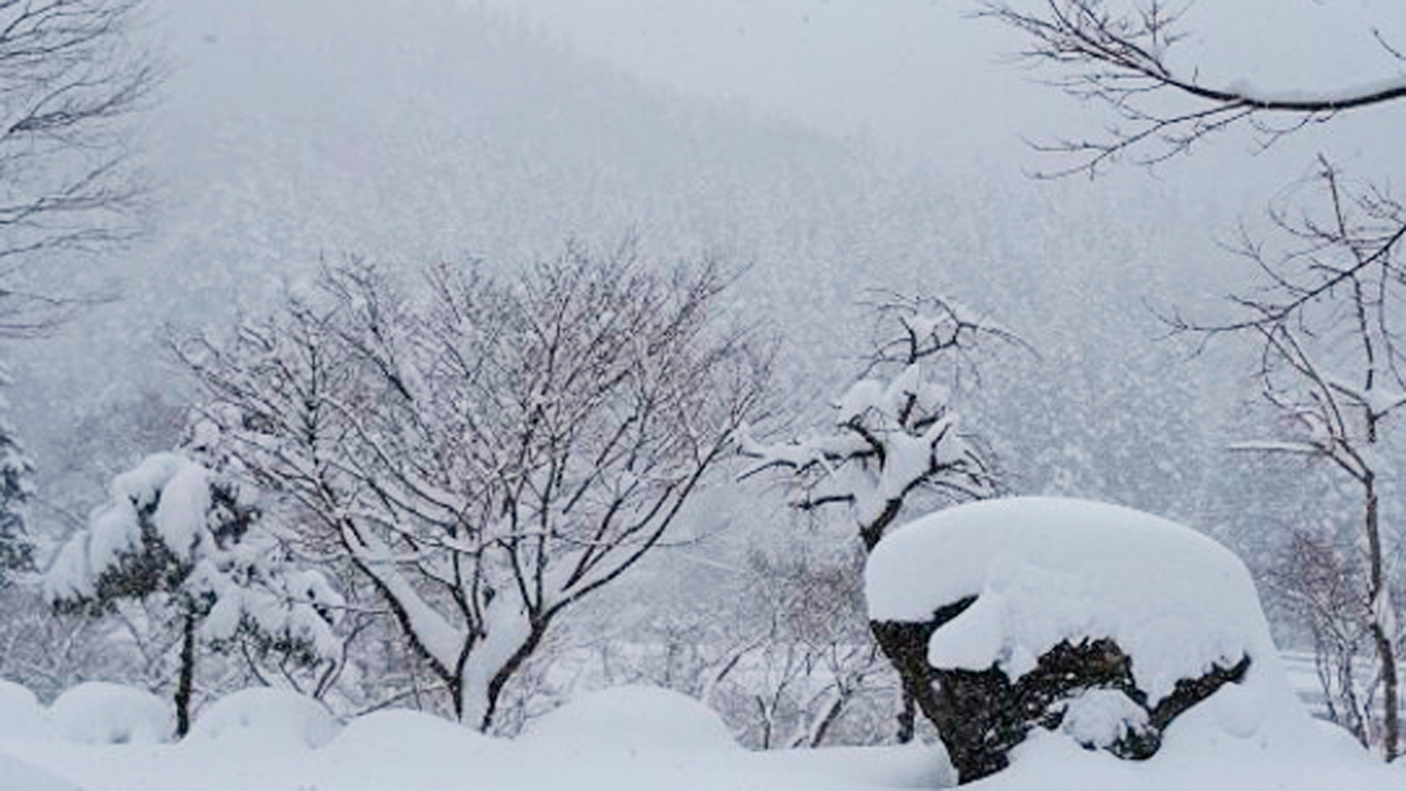 *周辺／真っ白な雪景色に包まれる周辺の風景