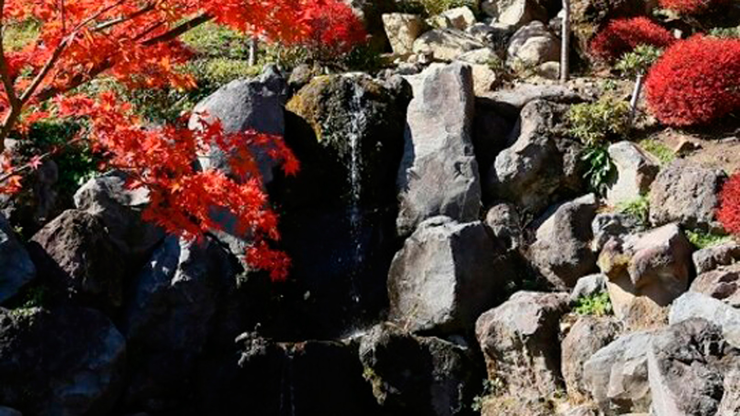 *周辺／庭園内の小さな滝も紅葉に彩られる秋