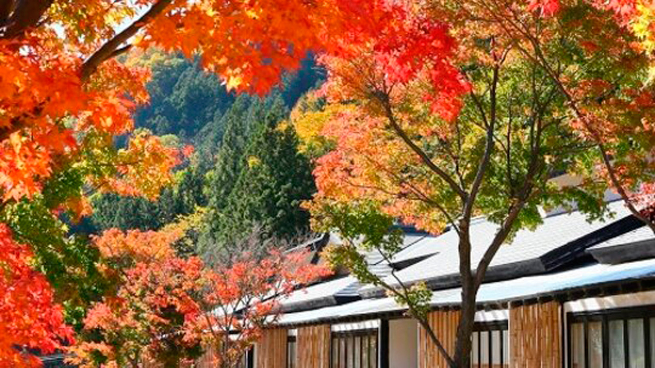 *外観[秋]／山間の美しい紅葉に包まれる秋