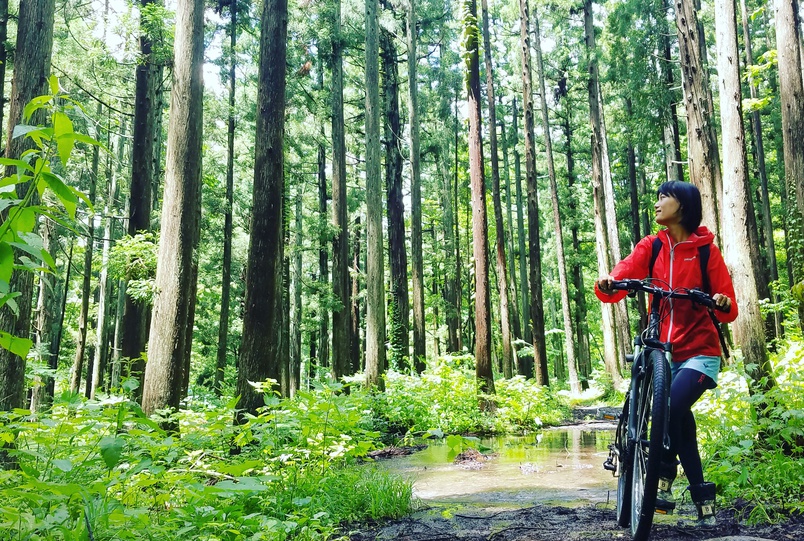 マウンテンバイクを楽しむ広い森がいっぱい。