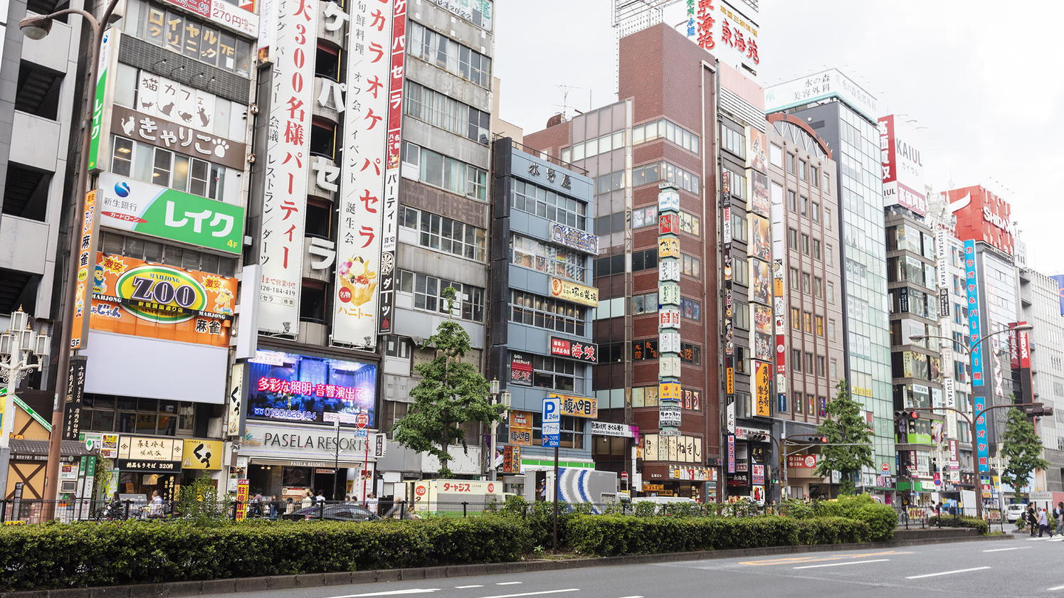 周辺観光｜新宿歌舞伎町（公共交通機関で約34分）