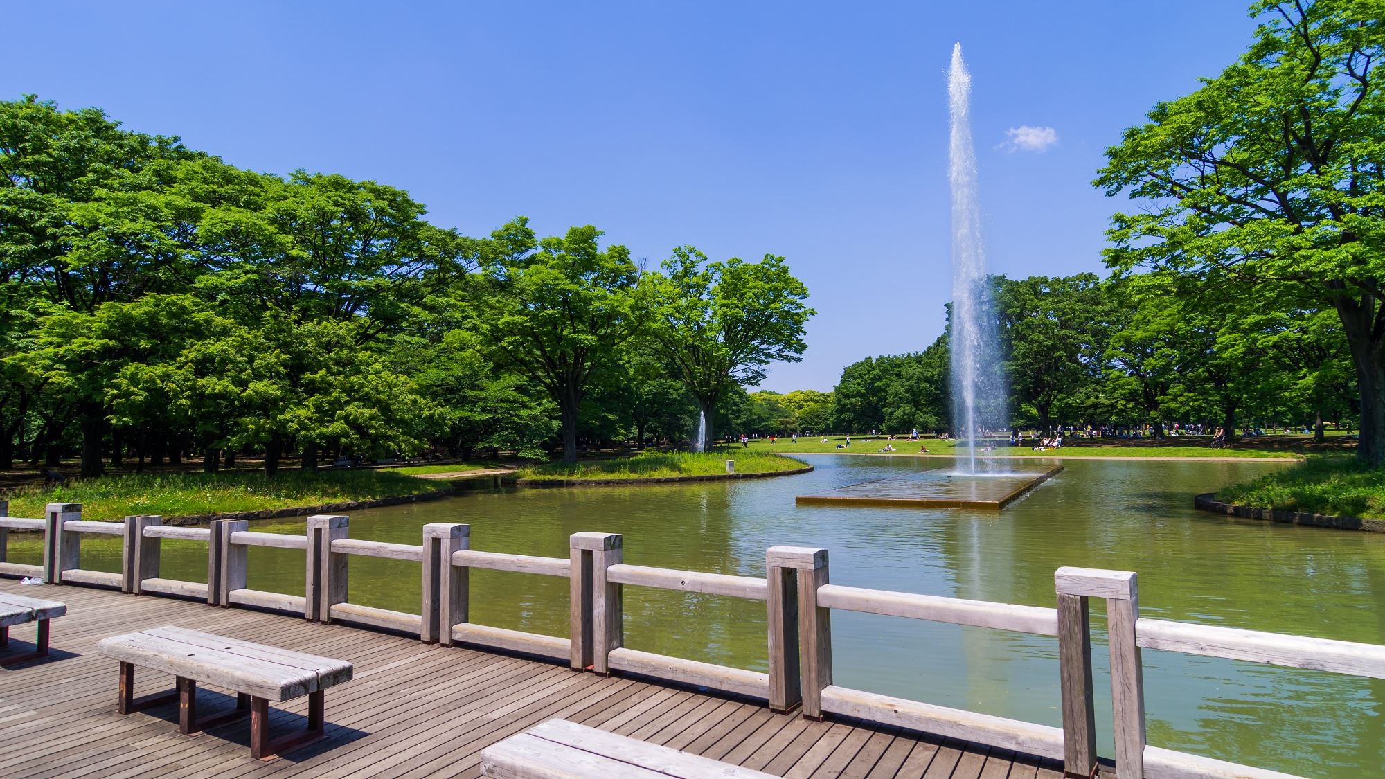 周辺観光｜代々木公園（公共交通機関で約36分）