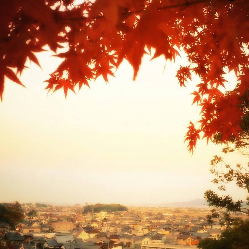 秋は紅葉も楽しめます。ゲストハウスから歩いて５分の早島公園からの眺め♪
