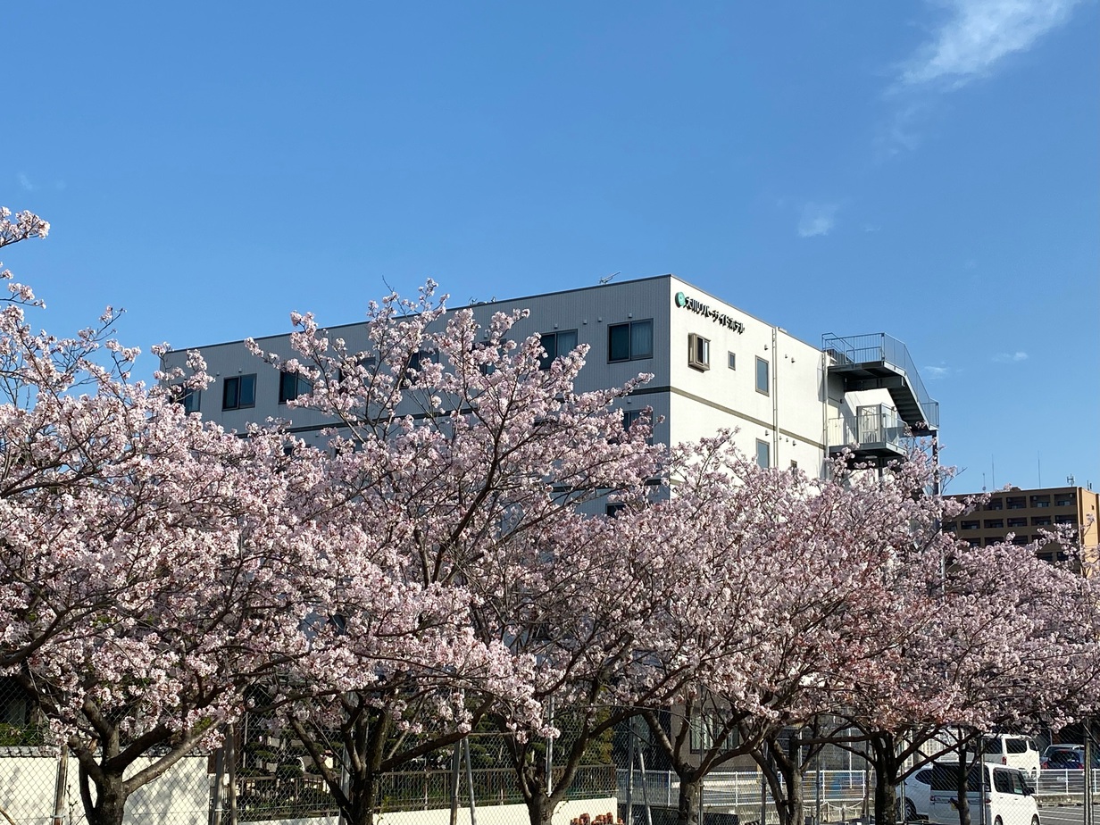 春は桜をご覧になれます。