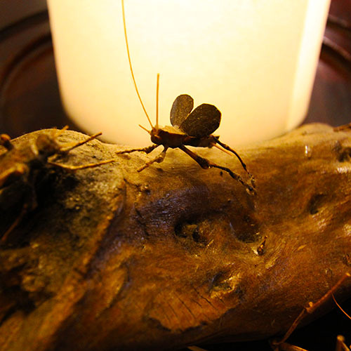 すずむし人形たち