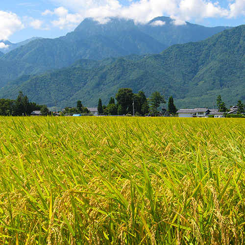 まわりはぐるりと大自然！