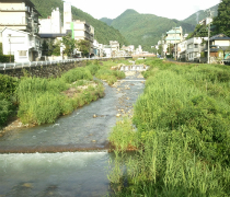 夏の横湯川