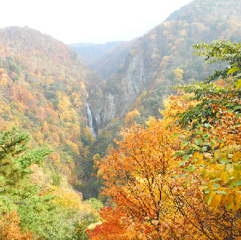志賀高原、澗満滝。県内一の落差。