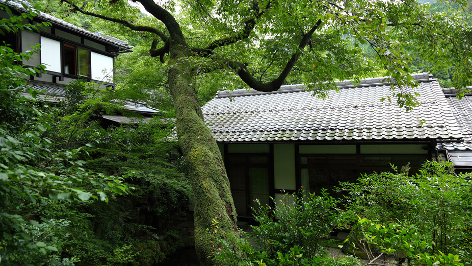 *【中庭】大原の山の姿を大切にした、素朴な美しさ・優しさを感じるお庭です。