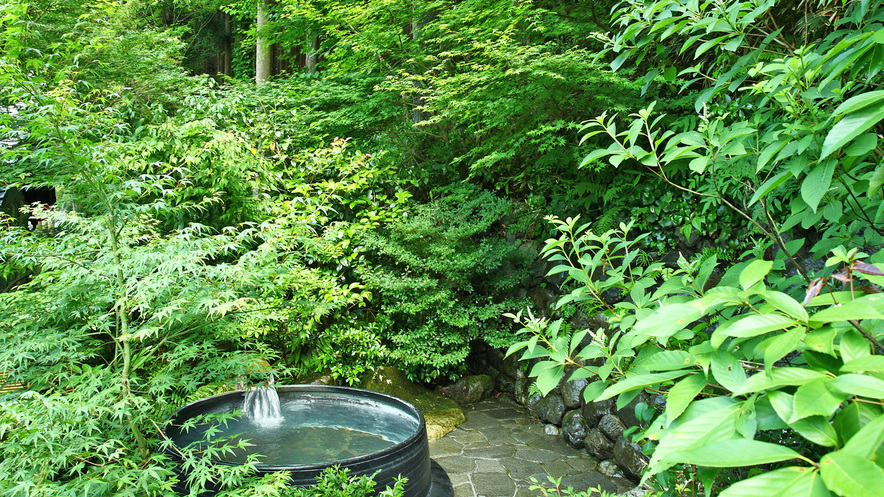 *【露天風呂】緑が美しい新緑の五右衛門露天風呂。森林浴気分でゆったりと癒されるひととき…;。